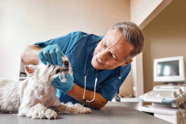 Best Emergency Root Canal Treatment in Lakewood, CA
